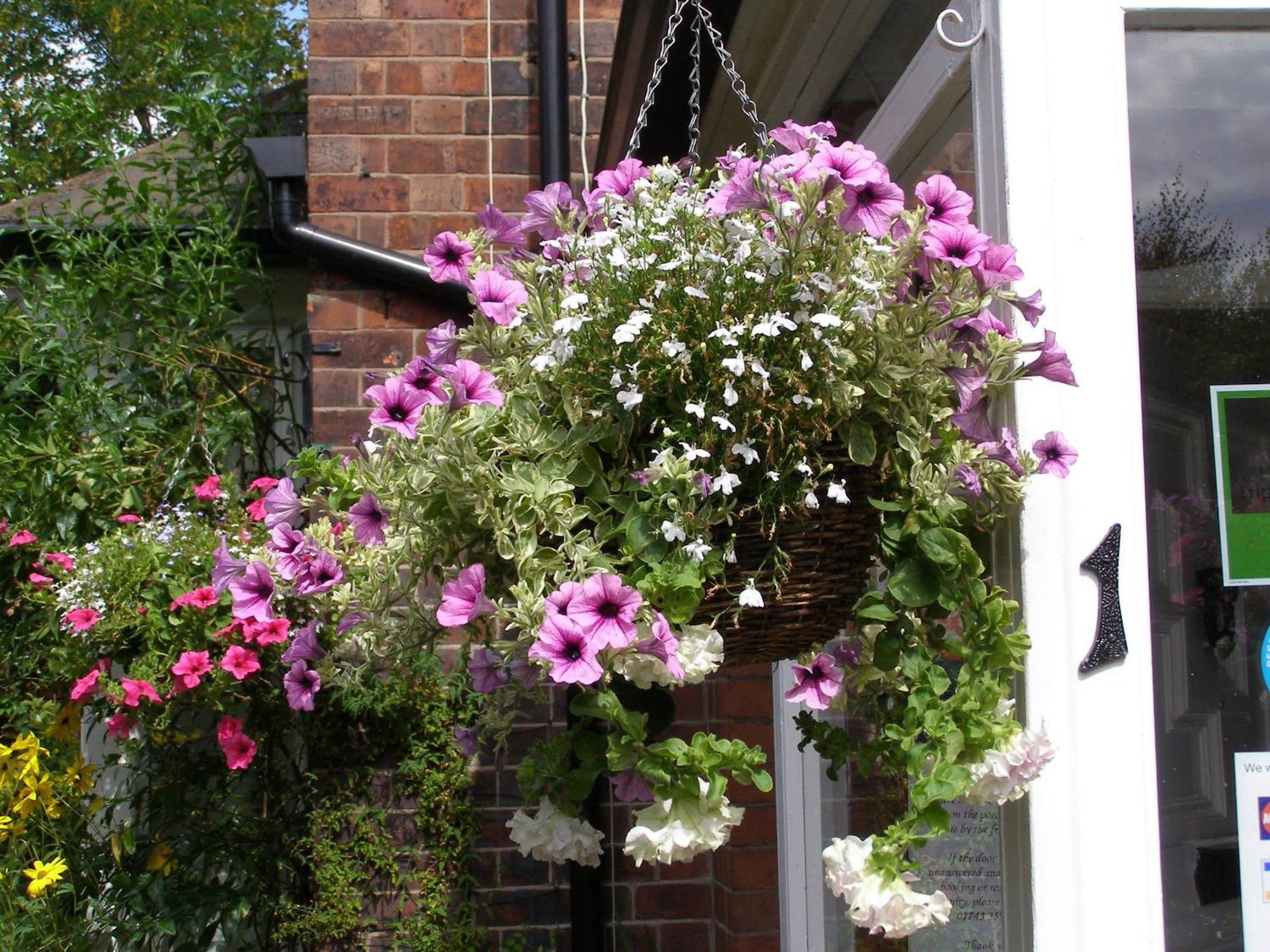 Anton Guest House Bed And Breakfast Shrewsbury Eksteriør bilde